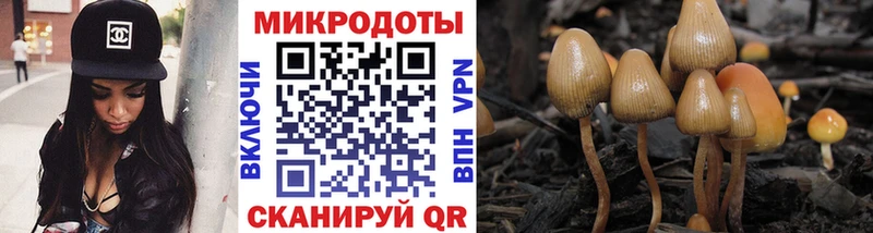 купить наркотик Верея Псилоцибиновые грибы Magic Shrooms